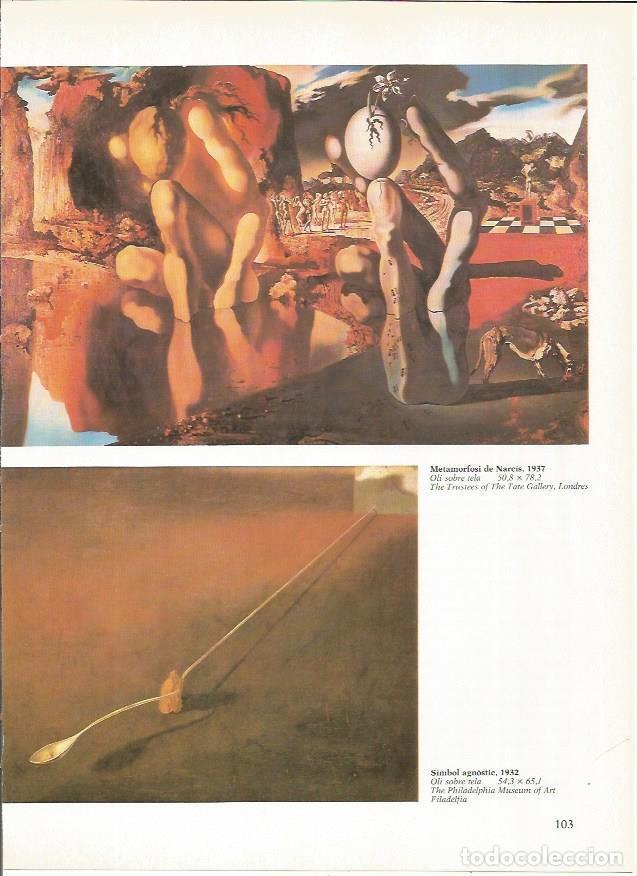 Otros art&iacute;culos de coleccionismo en papel: LAMINA 19304: Metamorfosis de Narciso, por Dali - Varios
