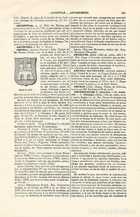 Otros art&iacute;culos de coleccionismo en papel: LAMINA ESPASA 12876: Escudo de Ascoli Italia - Varios