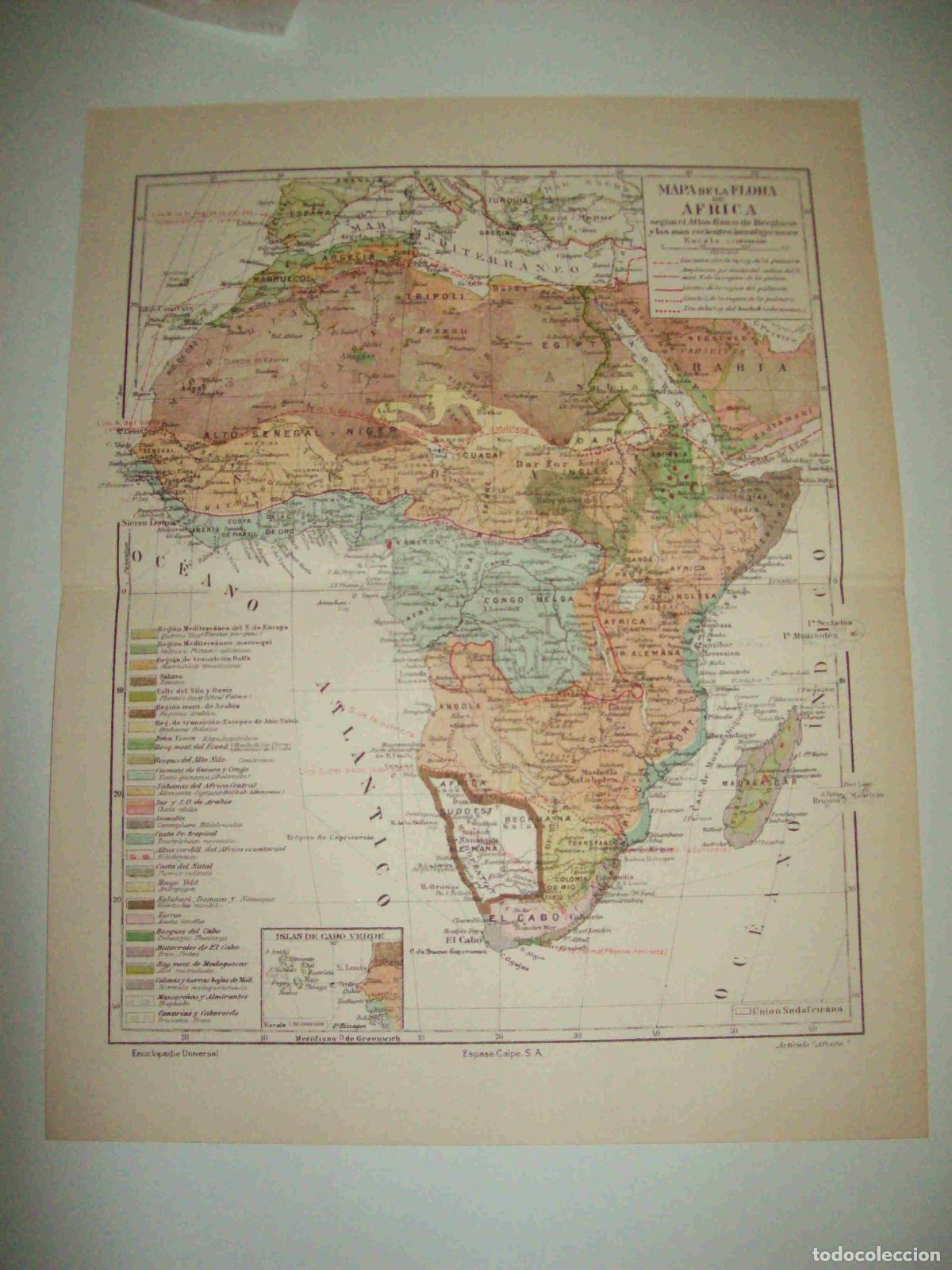 Otros art&iacute;culos de coleccionismo en papel: LAMINA ESPASA 12581: Mapa de la flora de Africa - Varios