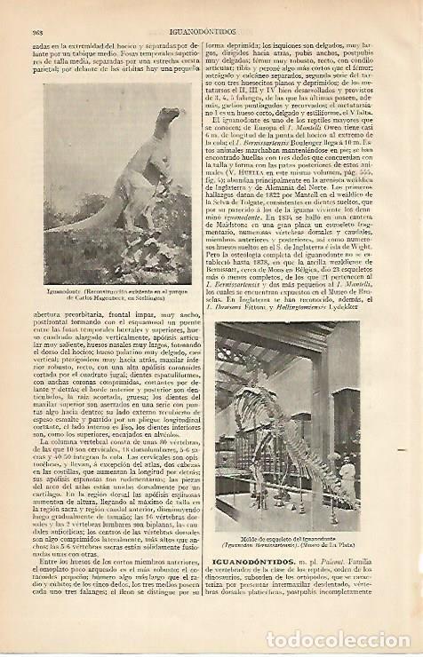 Otros art&iacute;culos de coleccionismo en papel: LAMINA ESPASA 4540: Iguanodonte - Varios Autores