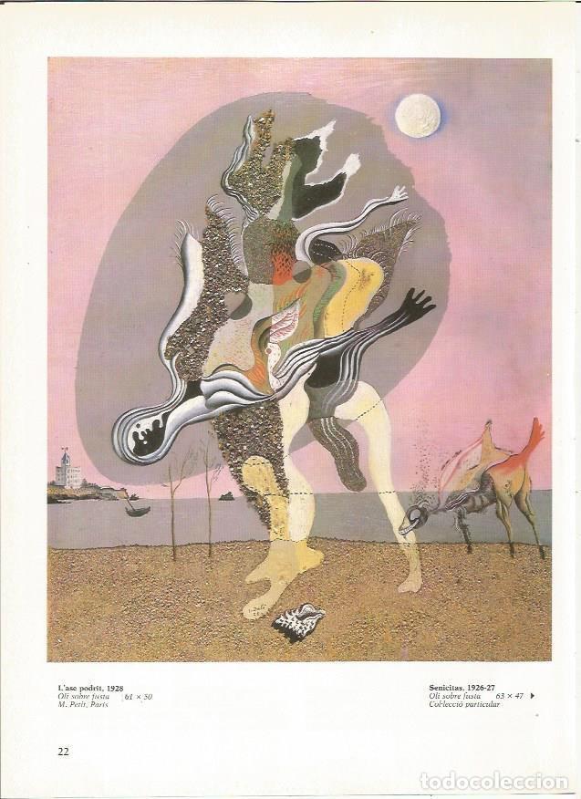 Otros art&iacute;culos de coleccionismo en papel: LAMINA 19265: El burro podrido, por Dali - Varios