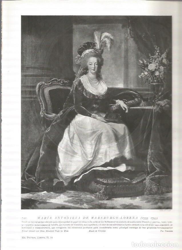 Otros art&iacute;culos de coleccionismo en papel: LAMINA 19148: Maria Antonieta - Varios