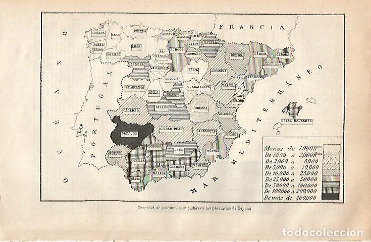 Otros art&iacute;culos de coleccionismo en papel: LAMINA ESPASA 21099: Mapa de la produccion de judias en Espa&ntilde;a - Varios
