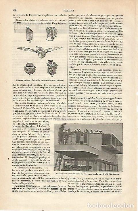 Otros art&iacute;culos de coleccionismo en papel: LAMINA ESPASA 23494: Silbatos de China - Varios