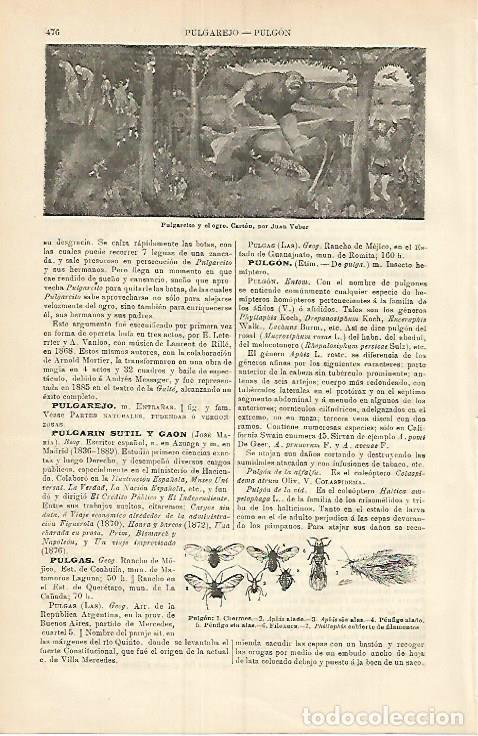Otros art&iacute;culos de coleccionismo en papel: LAMINA ESPASA 3779: Pulgarcito y el ogro por Juan Veber - Varios Autores