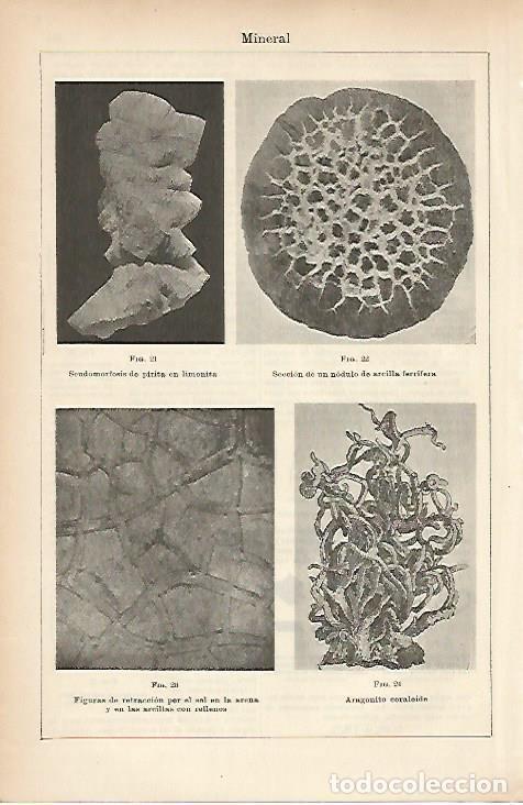 Otros art&iacute;culos de coleccionismo en papel: LAMINA ESPASA 5195: Minerales - Varios Autores