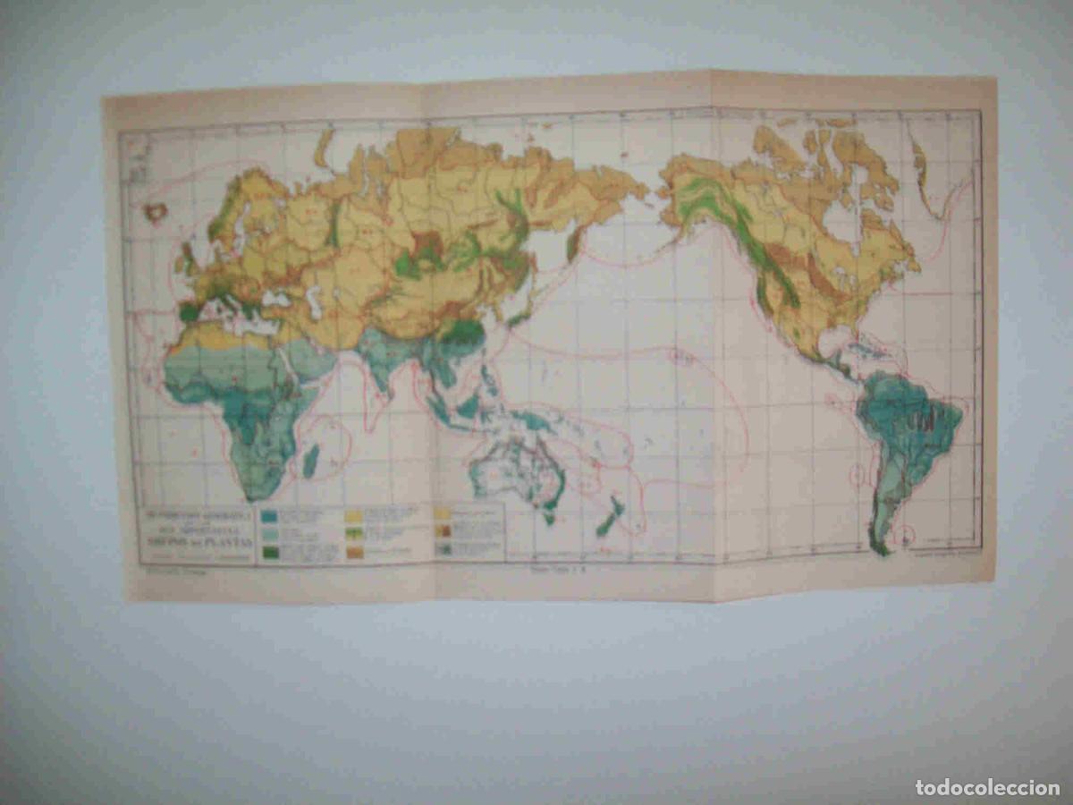 Otros art&iacute;culos de coleccionismo en papel: LAMINA ESPASA 27110: Mapa mundial de los grupos de plantas - Varios
