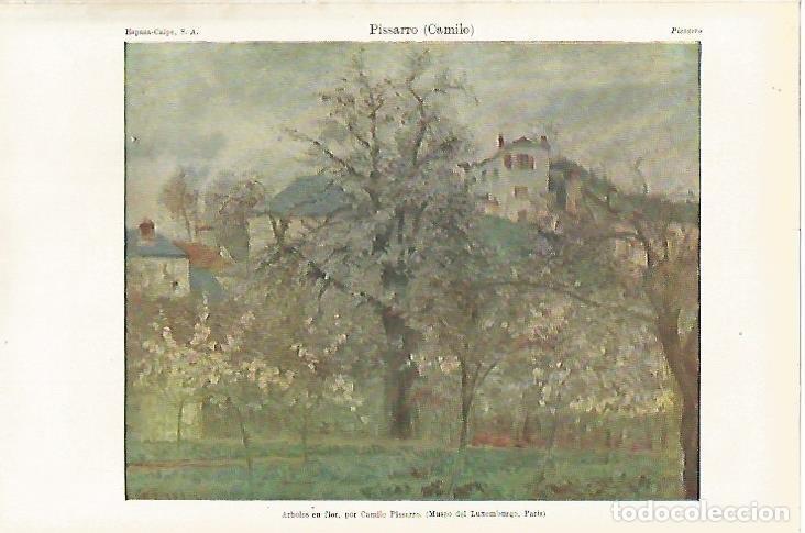 Otros art&iacute;culos de coleccionismo en papel: LAMINA ESPASA 27081: Arboles en flor por C. Pisarro - Varios