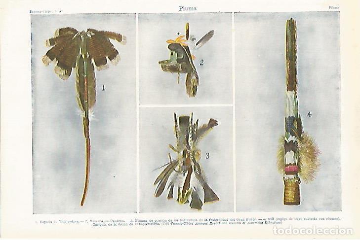Otros art&iacute;culos de coleccionismo en papel: LAMINA ESPASA 27166: Pluma - Varios