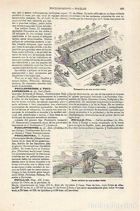 Otros art&iacute;culos de coleccionismo en papel: LAMINA ESPASA 27186: Perspectiva de una pocilga doble - Varios