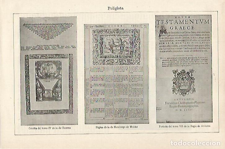 Otros art&iacute;culos de coleccionismo en papel: LAMINA ESPASA 27221: Poliglota - Varios