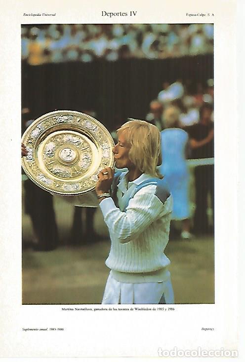 Otros art&iacute;culos de coleccionismo en papel: LAMINA ESPASA 27427: Martina Navratilova ganadora de Wimbledon - Varios