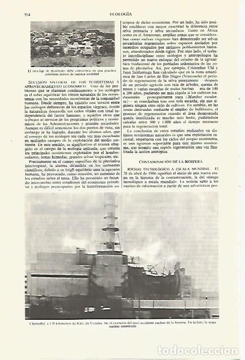 Otros art&iacute;culos de coleccionismo en papel: LAMINA ESPASA 27436: Chernobyl - Varios