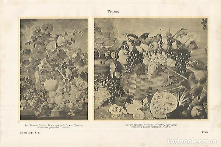 Otros art&iacute;culos de coleccionismo en papel: LAMINA ESPASA 27542: Frutas - Varios