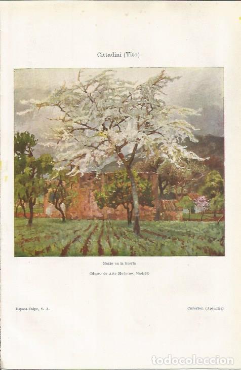 Otros art&iacute;culos de coleccionismo en papel: LAMINA ESPASA 35249: Marzo en la huerta, por Tito Cittadini - Varios