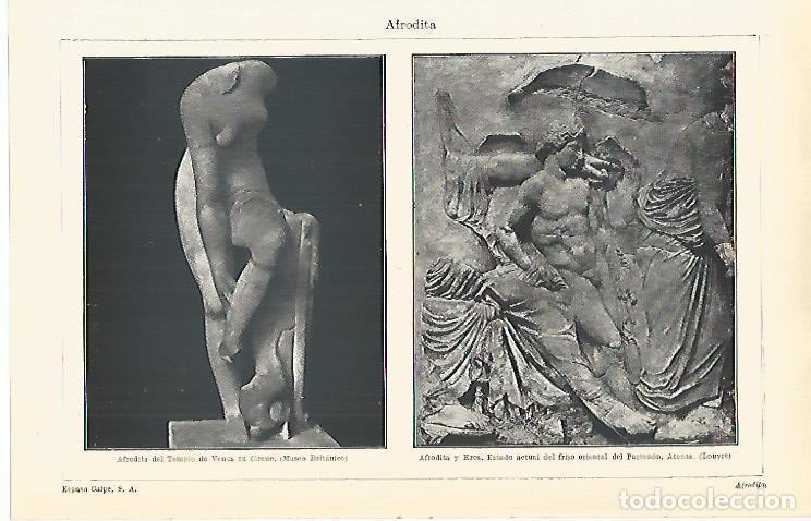 Otros art&iacute;culos de coleccionismo en papel: LAMINA ESPASA 15377: Afrodita de Cirene y Afrodita y Eros - Varios