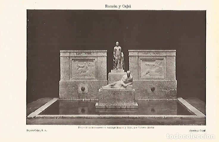 Otros art&iacute;culos de coleccionismo en papel: LAMINA ESPASA 15942: Monumento a Ramon y Cajal - Varios