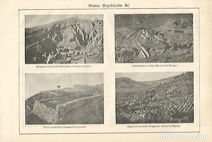 Otros art&iacute;culos de coleccionismo en papel: LAMINA ESPASA 27976: Repoblacion de montes - Varios