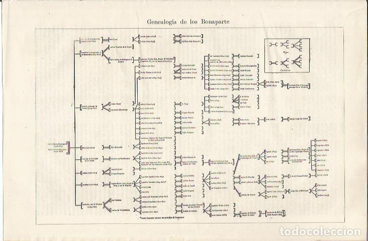 Otros art&iacute;culos de coleccionismo en papel: LAMINA ESPASA 34659: Genealogia de los Bonaparte - Varios
