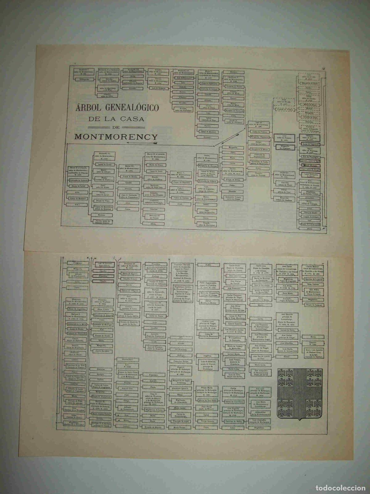 Otros art&iacute;culos de coleccionismo en papel: LAMINA ESPASA 28037: Arbol genealogico de la Casa de Montmorency - Varios