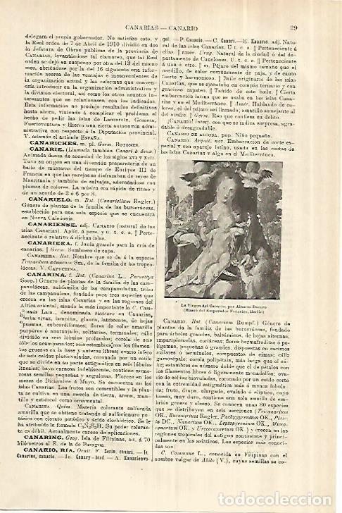 Otros art&iacute;culos de coleccionismo en papel: LAMINA ESPASA 28193: La Virgen del Canario por Alberto Durero - Varios