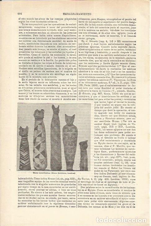 Otros art&iacute;culos de coleccionismo en papel: LAMINA ESPASA 35629: Gatos momificados - Varios