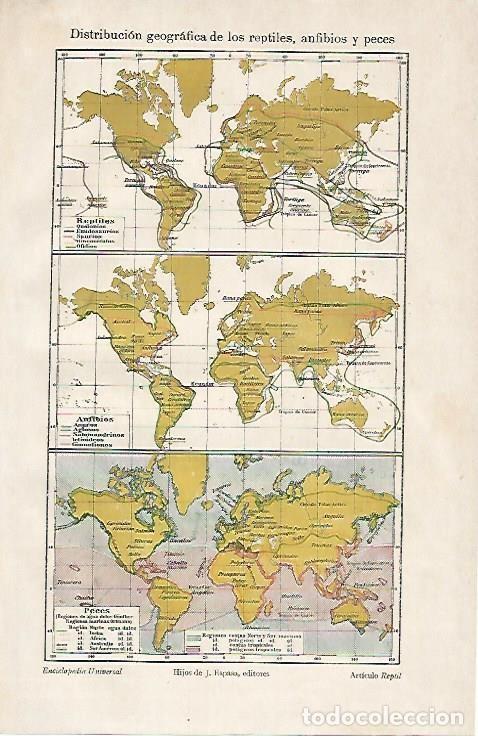 Otros art&iacute;culos de coleccionismo en papel: LAMINA ESPASA 1030: Mapas de la distribucion geografica de reptiles anfibios y peces - Varios Autore