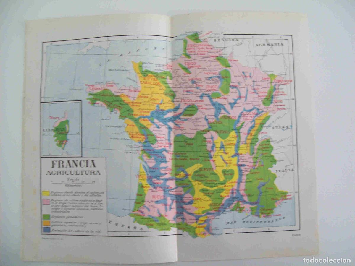 Otros art&iacute;culos de coleccionismo en papel: LAMINA ESPASA 28481: Mapa de la agricultura de Francia - Varios