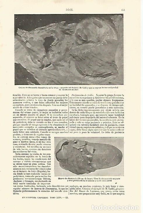 Otros art&iacute;culos de coleccionismo en papel: LAMINA ESPASA 28579: Craneo de dinosaurio del desierto de Gobi - Varios
