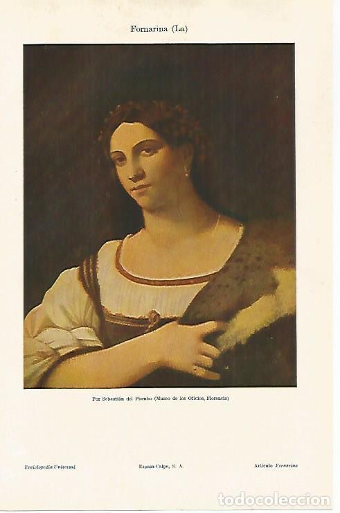 Otros art&iacute;culos de coleccionismo en papel: LAMINA ESPASA 28562: La Fornarina por Sebastian del Piombo - Varios