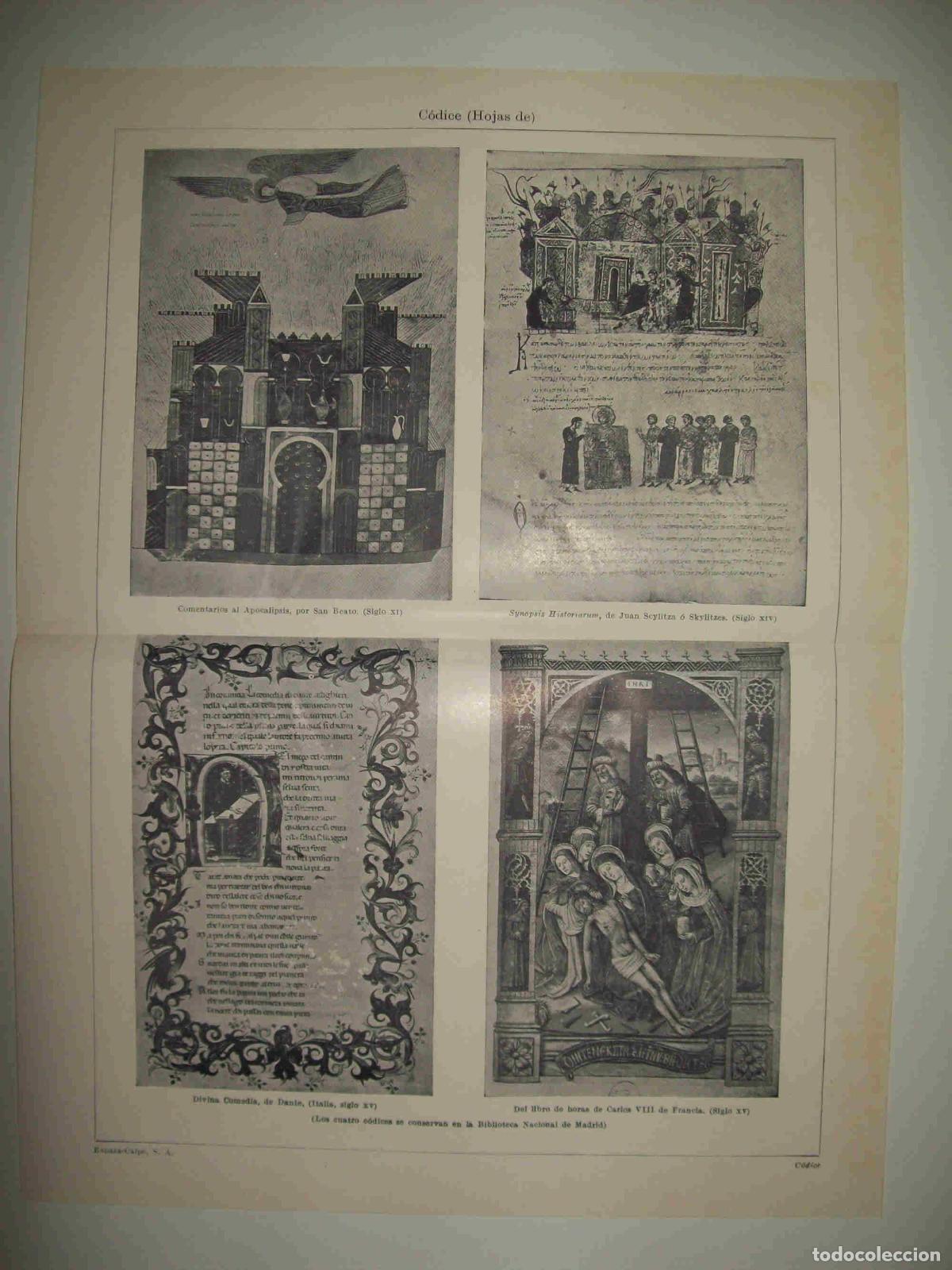 Otros art&iacute;culos de coleccionismo en papel: LAMINA ESPASA 28695: Hojas de Codices - Varios