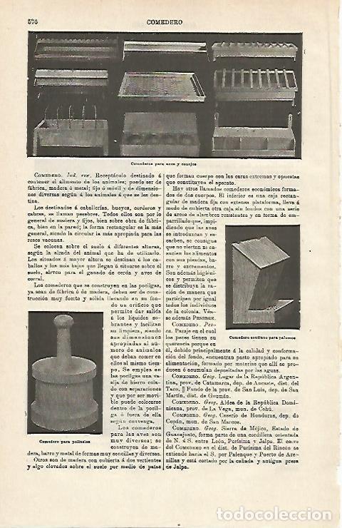 Otros art&iacute;culos de coleccionismo en papel: LAMINA ESPASA 14553: Comederos para aves y conejoss - Varios
