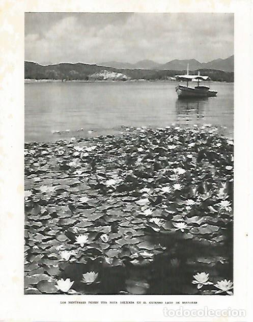 Otros art&iacute;culos de coleccionismo en papel: LAMINA 10473: Nenufares en el lago de Banyoles Girona - Josep Pla