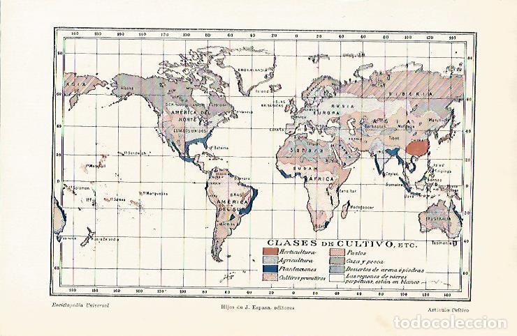 Otros art&iacute;culos de coleccionismo en papel: LAMINA ESPASA 14355: Mapa mundial de clases de cultivo - Varios
