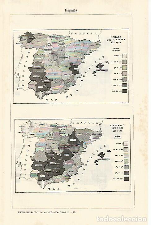 Otros art&iacute;culos de coleccionismo en papel: LAMINA ESPASA 29174: Mapa de Espa&ntilde;a del ganado de cerda y mular en 1929 - Varios