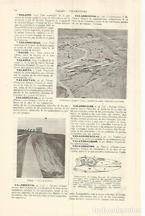 Otros art&iacute;culos de coleccionismo en papel: LAMINA ESPASA 29244: Desierto cercano a Talara Peru - Varios