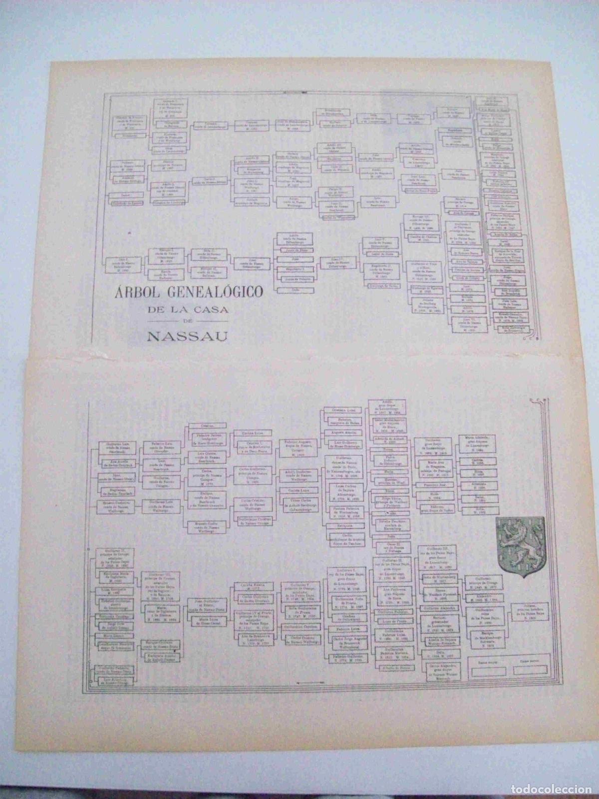 Otros art&iacute;culos de coleccionismo en papel: LAMINA ESPASA 10741: Arbol genealogico de la Casa de Nassau - Varios