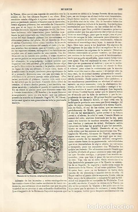 Otros art&iacute;culos de coleccionismo en papel: LAMINA ESPASA 11449: Eseudo de la Muerte por Durero - Varios