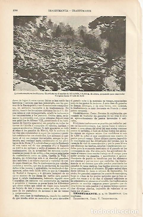 Otros art&iacute;culos de coleccionismo en papel: LAMINA ESPASA 11170: La transhumacion en los Pirineos - Varios