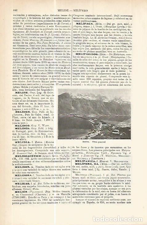 Otros art&iacute;culos de coleccionismo en papel: LAMINA ESPASA 17751: Vista de Melide Suiza - Varios
