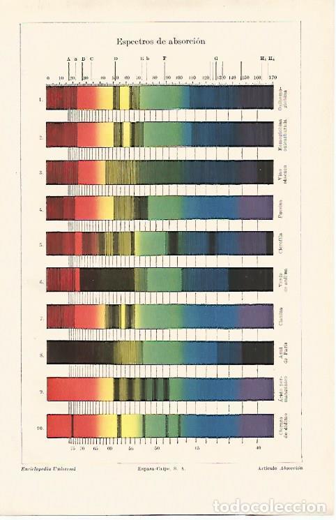 Otros art&iacute;culos de coleccionismo en papel: LAMINA ESPASA 13198: Espectros de absorcion - Varios
