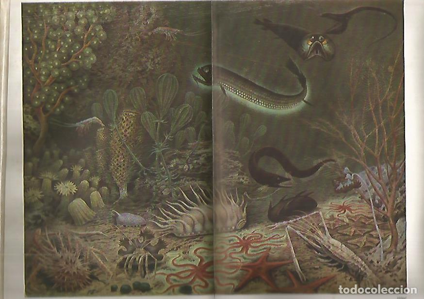 Otros art&iacute;culos de coleccionismo en papel: LAMINA De ESPASA 0017: Fauna abisal - Varios autores