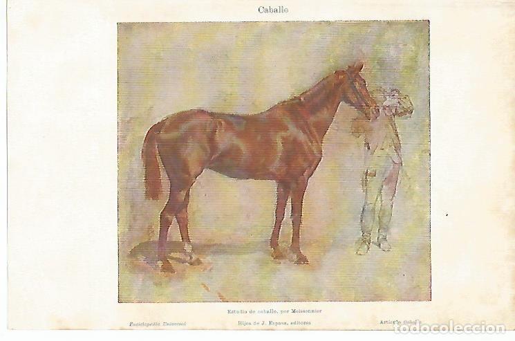 Otros art&iacute;culos de coleccionismo en papel: LAMINA De ESPASA 00106: MeISSONNIeR. estudio de caballo - Varios autores