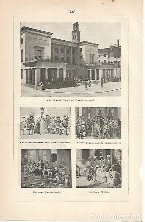 Otros art&iacute;culos de coleccionismo en papel: LAMINA De ESPASA 00142: Cafe - Varios autores