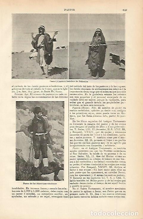 Otros art&iacute;culos de coleccionismo en papel: LAMINA ESPASA 002342: Pastores de Palestina - Varios Autores
