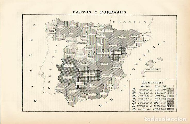 Otros art&iacute;culos de coleccionismo en papel: LAMINA ESPASA 002339: Mapa de pastos y forrajes - Varios Autores