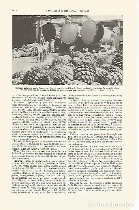 Otros art&iacute;culos de coleccionismo en papel: LAMINA ESPASA 29433: Mezcales azules o Agave lequilana en Mexico - Varios