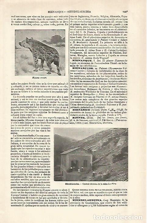 Otros art&iacute;culos de coleccionismo en papel: LAMINA ESPASA 29529: Hyena - Varios