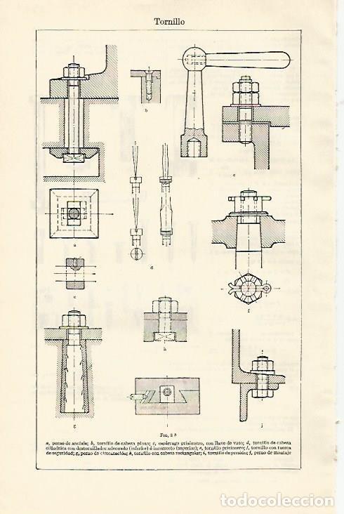 Otros art&iacute;culos de coleccionismo en papel: LAMINA ESPASA 1324: Tipos de tornillo - Varios Autores