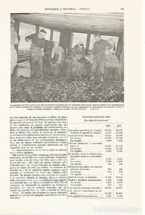 Otros art&iacute;culos de coleccionismo en papel: LAMINA ESPASA 13388: Mejillon contaminado por el Erkowit - Varios